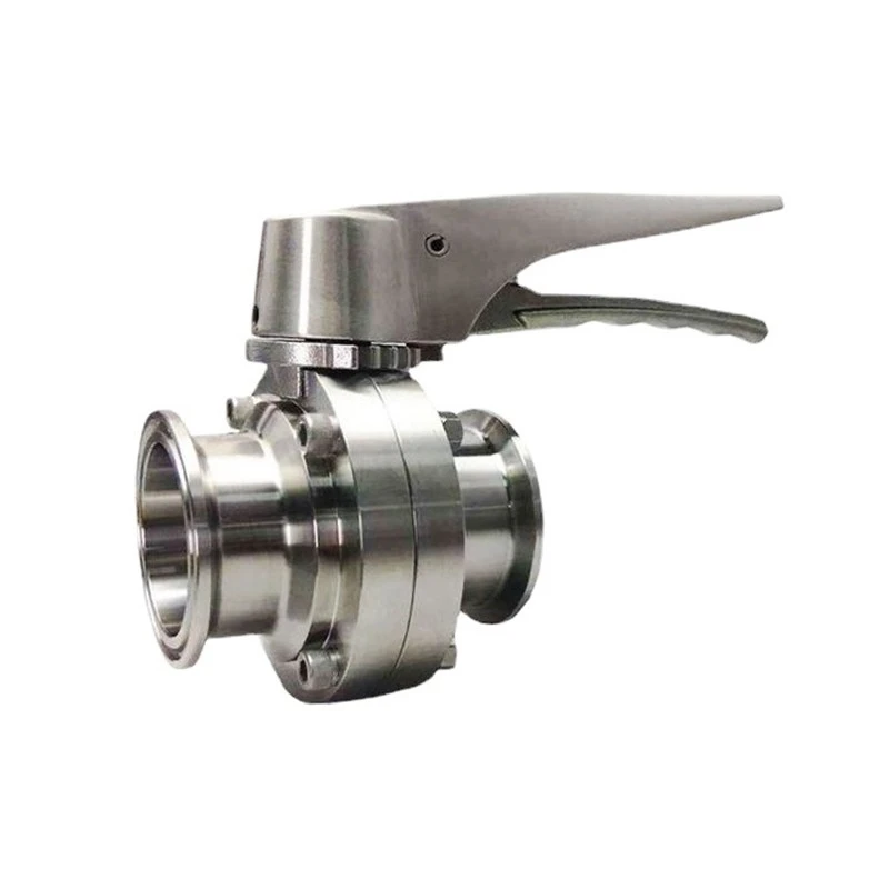 Butterfly Valve (13)
